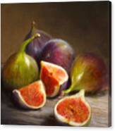 Figs Canvas Print