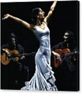 Finale Del Funcionamiento Del Flamenco Canvas Print