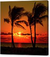 Fire Sunset Through Palms Canvas Print