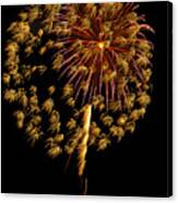 Fireworks 10 Canvas Print