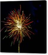 Fireworks Canvas Print