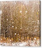 First Snow. Snow Flakes I Canvas Print