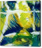 Fish In Net - Bgfin Canvas Print
