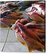 Fish Market 6 Canvas Print