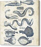 Fish Species Historiae Naturalis 08 - 1657 - 24 Canvas Print