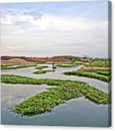 Fisherman Canvas Print