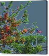 Flag And Shower Tree Canvas Print