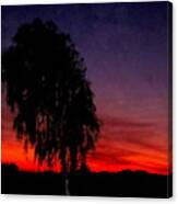Flaming Sunset In Arizona Canvas Print