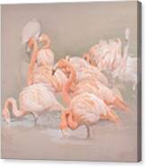 Flamingo Fun Canvas Print