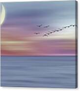 Flight 3 Canvas Print