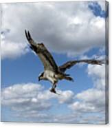 Flight Among The Clouds Canvas Print