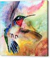 Da198 Flit The Hummingbird By Daniel Adams Canvas Print