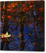 Floating In Fall Canvas Print