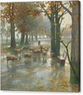 Flock Of Sheep With Shepherdess On A Rainy Day Canvas Print
