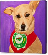 Floppy Ear Canvas Print