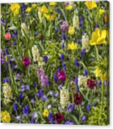 Floral Background In All Colors Canvas Print
