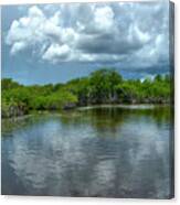 Florida Everglades Canvas Print