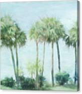 Florida Palms Ii Canvas Print