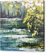 Florida Woods Pond Canvas Print