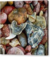 Flotsam 2 Canvas Print