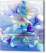 Flower Dream Canvas Print