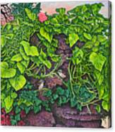 Flower Garden Viii Canvas Print