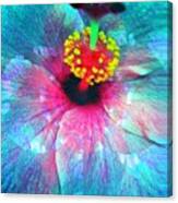 Flower Of Compassion Canvas Print