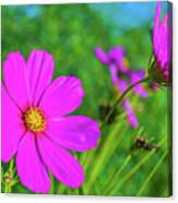 Flower Power Canvas Print