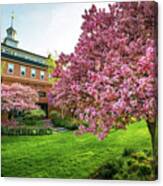 Flowering Crabapples At The Belknap Mill Canvas Print