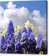 Flowers And Sky Canvas Print