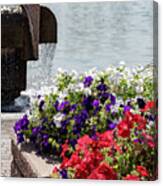 Flowers And Water Canvas Print