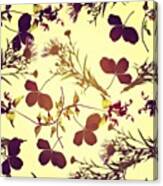 #flowers #floral #wallpaper #dryflowers Canvas Print