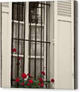 Flowers In Paris Windowbox Canvas Print