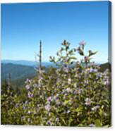 Flowers Of The Smokey Mountains Canvas Print
