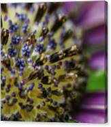 Flowers Within Flowers Canvas Print