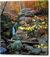 Flowing Into Autumn Canvas Print