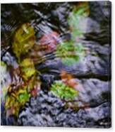 Flowing Stream Canvas Print