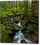 Flowing Through The Pacific Northwest Canvas Print