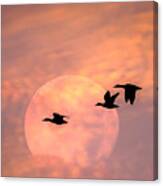 Fly High Moon Geese Square Canvas Print