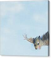 Flying Squirrel Canvas Print