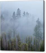 Fog And The Cascade Canvas Print