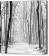 Fog In The Woods Canvas Print