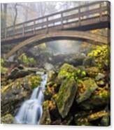 Foggy Crossing Canvas Print