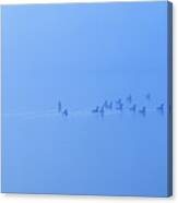 Foggy Morning Lake Geese Canvas Print