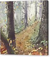 Foggy Path Canvas Print