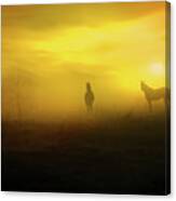 Foggy Sunset Canvas Print