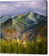 Foothills Canvas Print