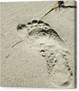 Footprint In The Sand  - South Beach Miami Canvas Print