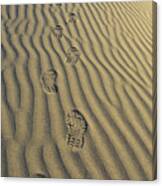 Footprints In The Sand Canvas Print