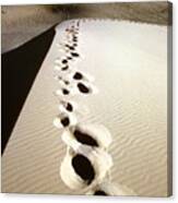 Footprints In The Sands Of Time Canvas Print